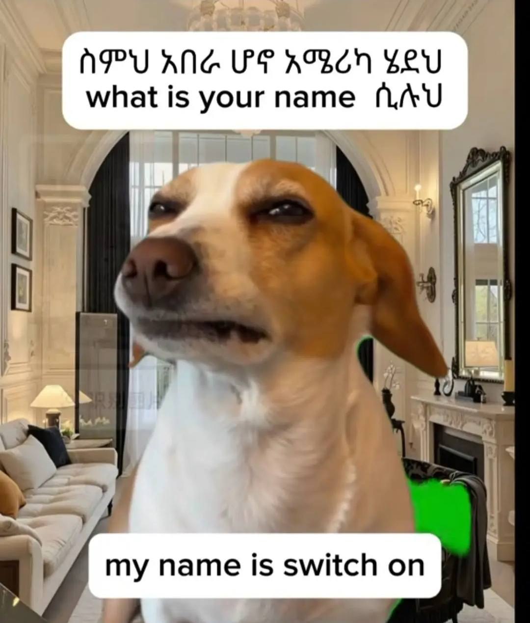 | ስምህአ አበራ ሆኖ - አሜሪካ ሄደህ ህዛከ፳፻ | ኩ-) ሃ6ህ፣ 8 በ፳ቋበገፎ ሲሉህ | f APU K ANG we KOREN Yeu what i is yourn name Aud |